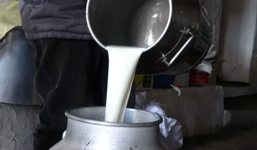 Çiğ süt fiyatlarında yüzde 19 artış