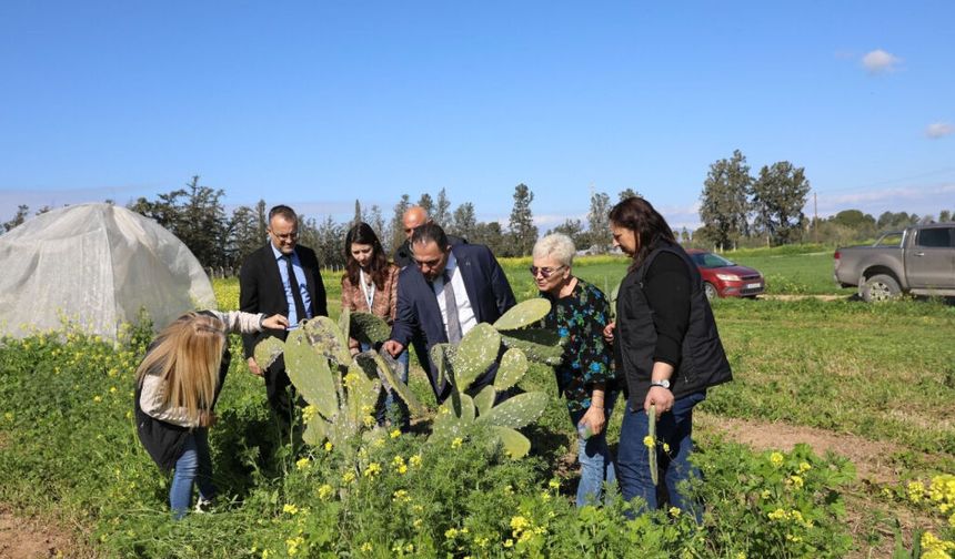 Tarım Bakanı Çavuş: Babutsa’yı yeniden ayağa kaldırıyoruz