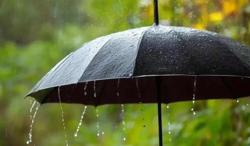 En çok yağış Karpaz bölgesine düştü