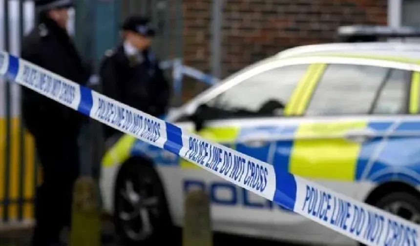 İngiltere'de kan donduran olay: Koyuna işkence edip havai fişekle patlattılar