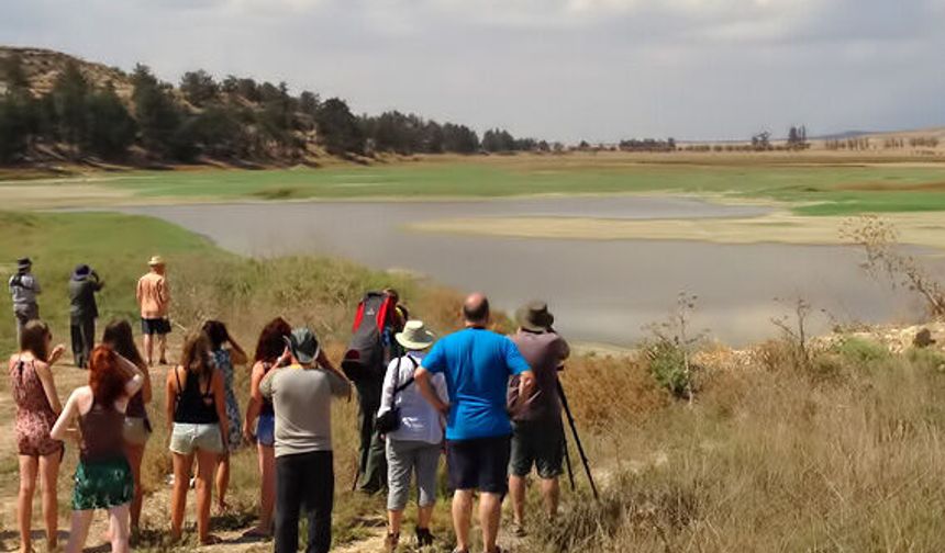KUŞKOR’dan Dünya yaban hayatı günü mesajı: “Her tür değerli, her habitat önemli”