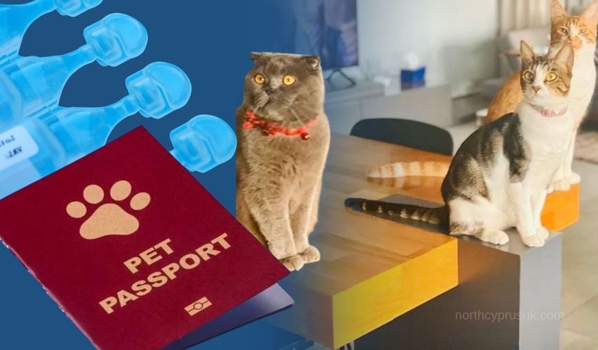 AB’den evcil hayvan seyahatine yeni kısıtlamalar