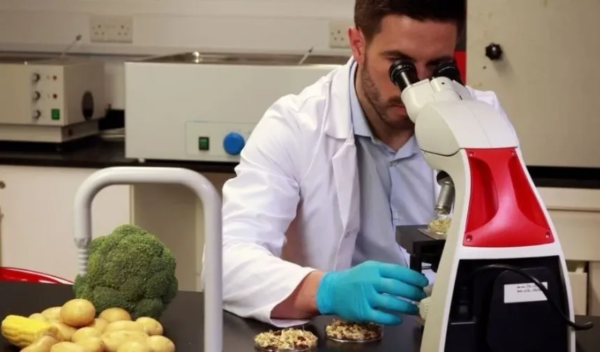 Gıda denetimleri: 4 üründe uygunsuz pestisit