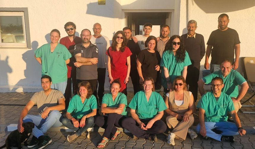Gazimağusa’da sokak hayvanları için kapsamlı kısırlaştırma organizasyonu tamamlandı