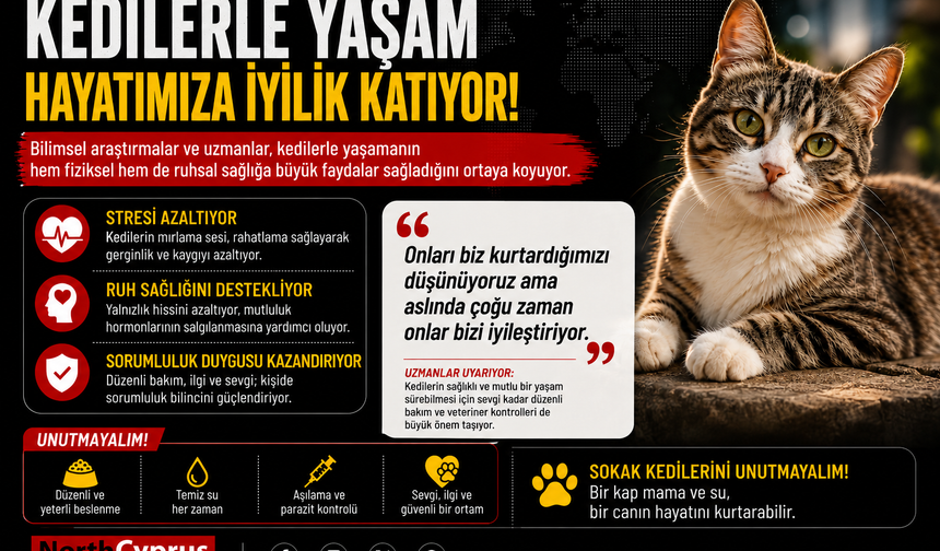 Kedilerle yaşamak: Bir dostluktan çok daha fazlası