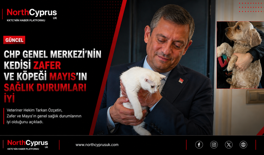 CHP Genel Merkezi’nin “patili sakinleri” Zafer ve Mayıs’tan iyi haber