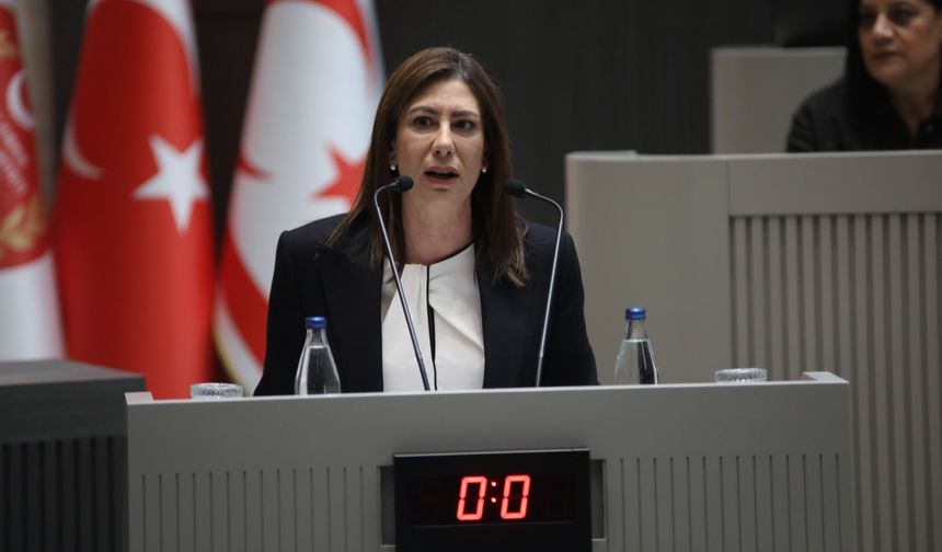 İncirli: Kayıt dışı nüfusla mücadele yöntemi af çıkarmak değil