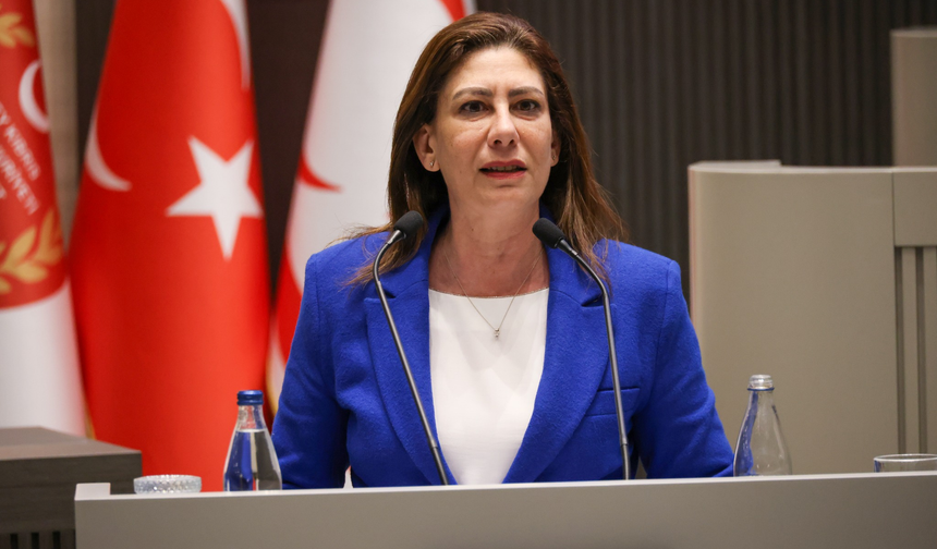 Sıla Usar İncirli: “Gazeteciliği suç haline getiren bir düzenleme kabul edilemez”