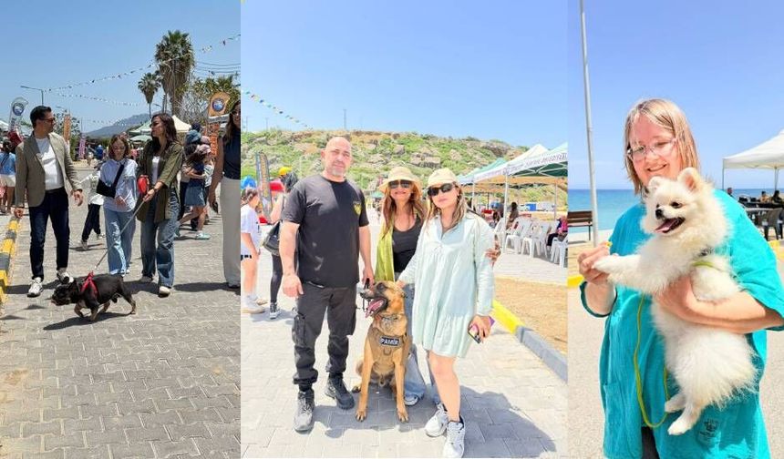 Alagadi’de evcil hayvanlar için festival düzenlendi
