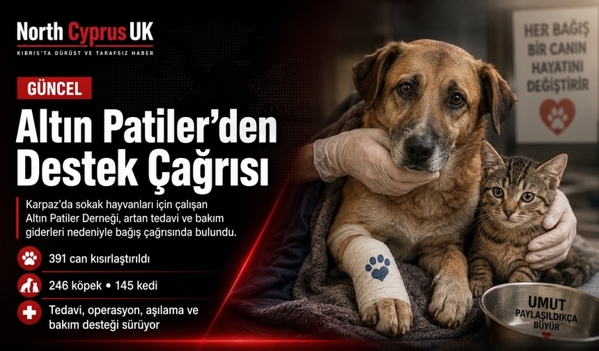 Altın Patiler Derneği’nden yardım çağrısı: “Her bağış bir canın hayatına dokunuyor”