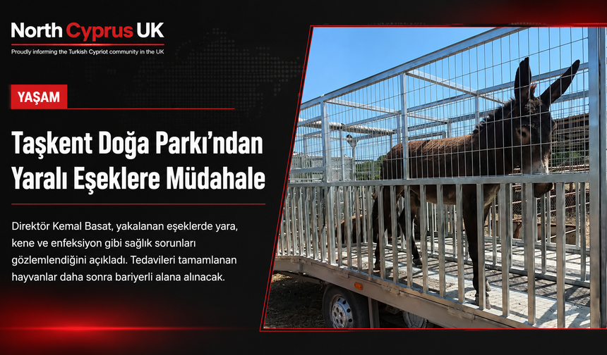 Taşkent Doğa Parkı’ndan yaralı eşekler için sağlık kontrolü