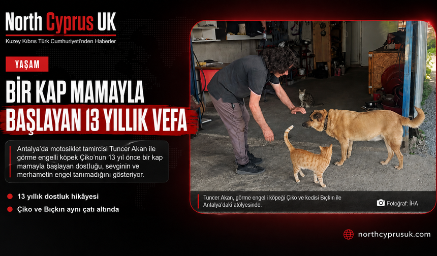 Bir kap mamayla başlayan 13 yıllık vefa