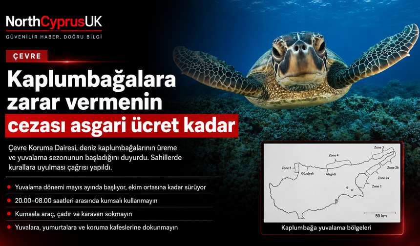 Deniz kaplumbağalarında yuvalama sezonu başladı