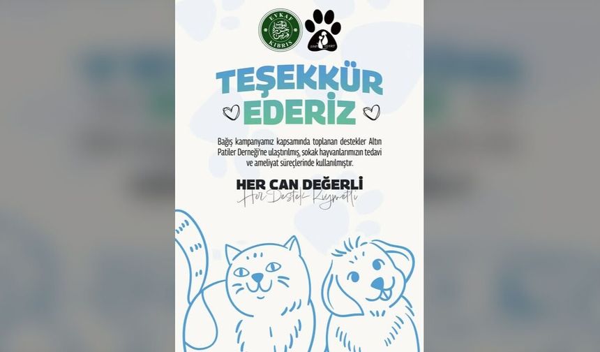Bağış kutularındaki destekler can dostlara umut oldu