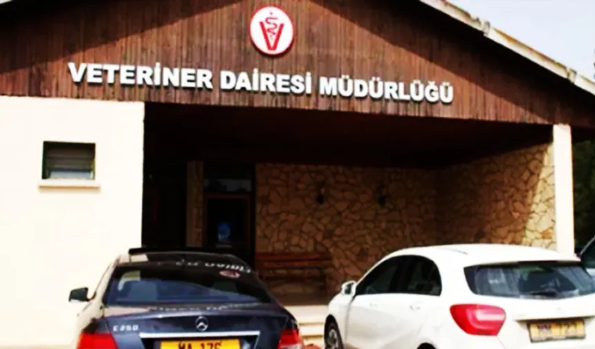 Veteriner Dairesi: Gazimağusa Belediye Mezbahası’nın faaliyetleri geçici olarak durduruldu