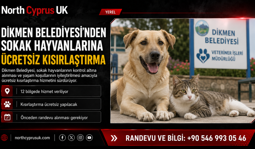 Dikmen Belediyesi’nden sokak hayvanlarına ücretsiz kısırlaştırma hizmeti