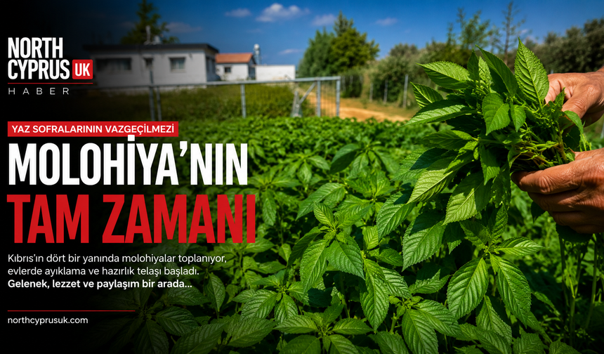 Molohiyanın tam zamanı: Kıbrıs’ta evlerde ayıklama telaşı başladı