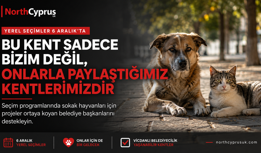 Sandığa giderken bir canı da düşünün