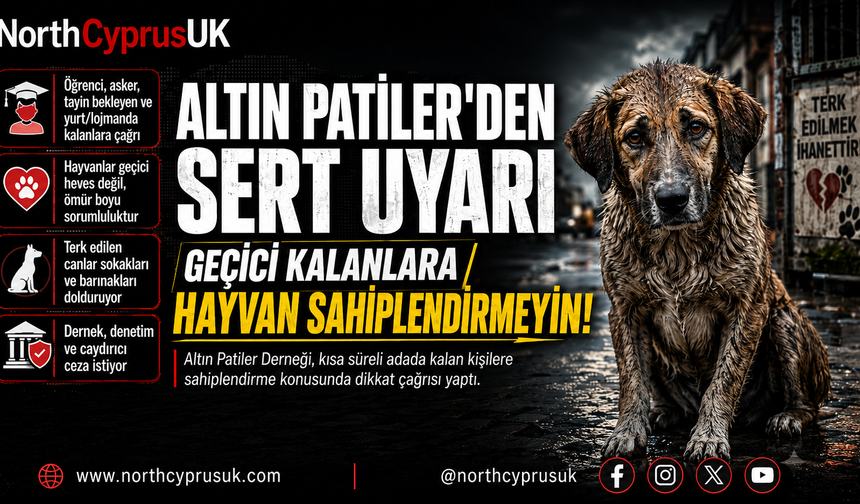 Altın Patiler Derneği’nden uyarısı: “Hayvanlar geçici bir heves değildir”
