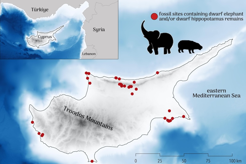 Megafauna1