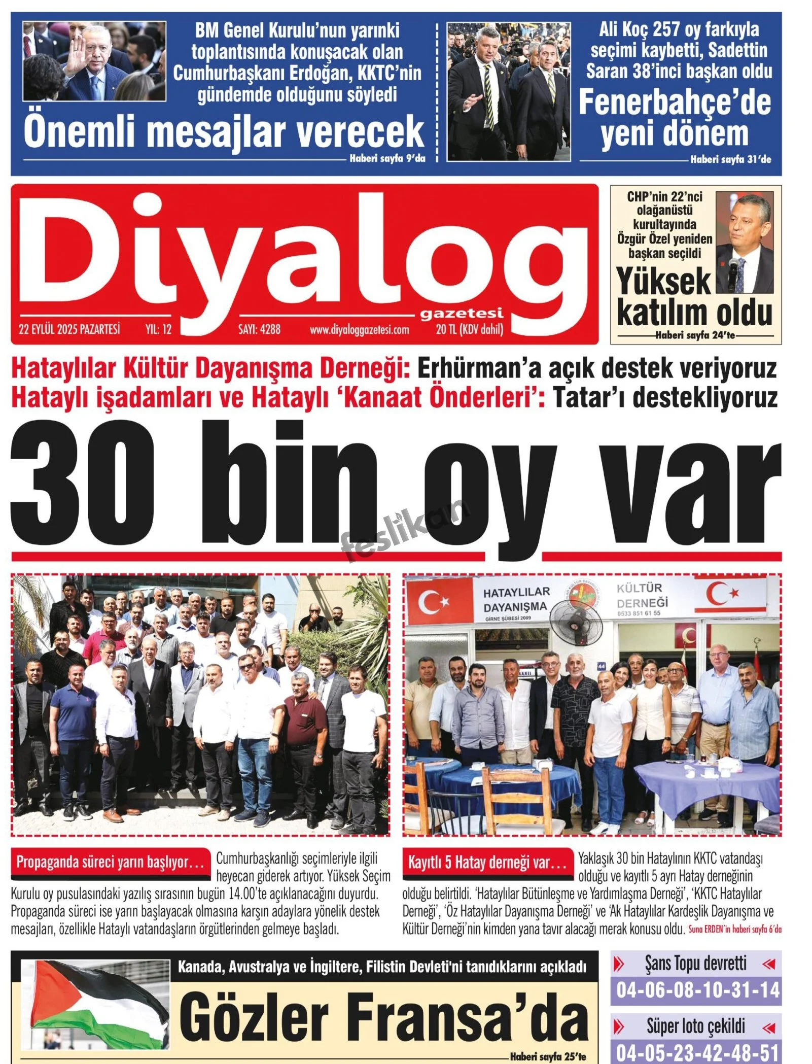 D I Y A L O G 20250922 Scaled+Copy