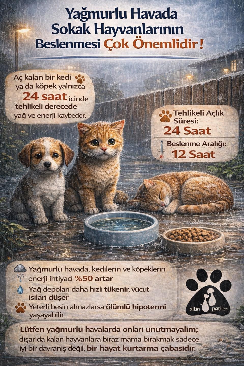 616172452 1216491500600186 8112137015789434533 N